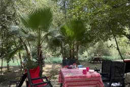 Ördekli Kamp ve Piknik Alanı
