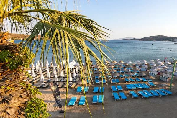 Gümbet Anıl Beach - Otel - Muğla Akçaalan Mahallesi