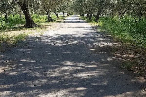 Zeytincilik Araştırma Enstitüsü Müdürlüğü - Devlet Dairesi - İzmir Balçova
