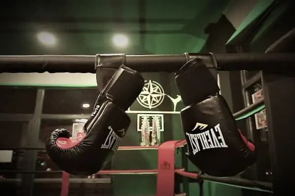 South Fight Studio - Kickboks Okulu - Ankara Etimesgut