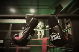 South Fight Studio
