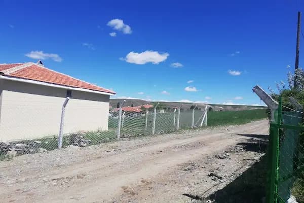 Abazlı Köyü Muhtarlığı - Dini Kurum - Ankara Sincan
