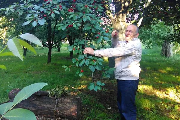 Çocuk Bahçesi - Park - Kocaeli Gölcük