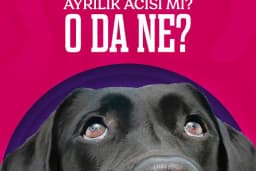 Elit Petshop Kıbrısşehitleri Şubesi