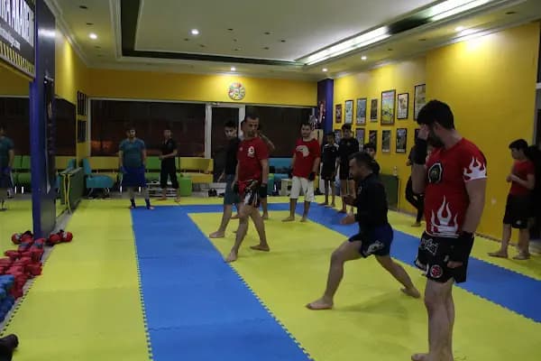 Ankara MMA Kursu - Dövüş Sanatları Kulübü - Ankara Çankaya