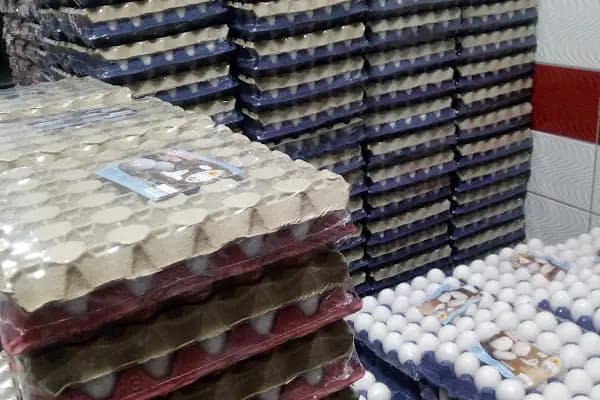 AKŞEHİR SAFİR YUMURTA PAKETLEME - Yumurta Tedarikçisi - Konya Akşehir