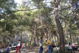 Bıçakçılar Park Orman Tesisleri 1968 ' den beri
