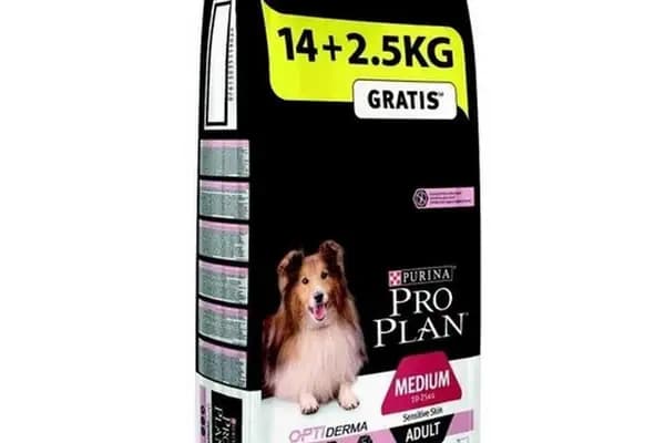 MELTEM PETSHOP AKVARYUM - Evcil Hayvan Malzemeleri Mağazası - Antalya Döşemealtı