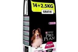 MELTEM PETSHOP AKVARYUM