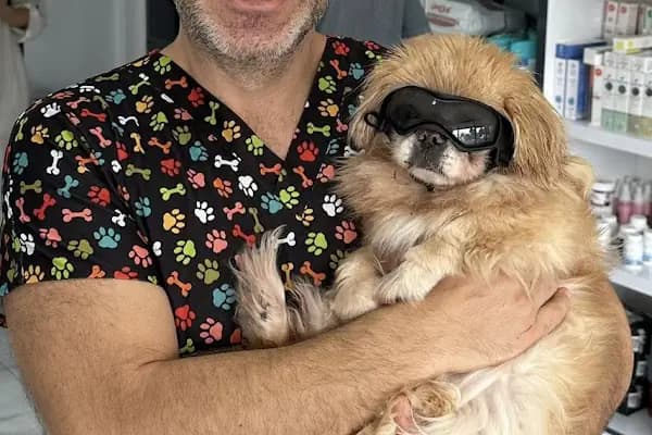 Yellowstone Veteriner Kliniği - Veteriner - Balıkesir Karesi