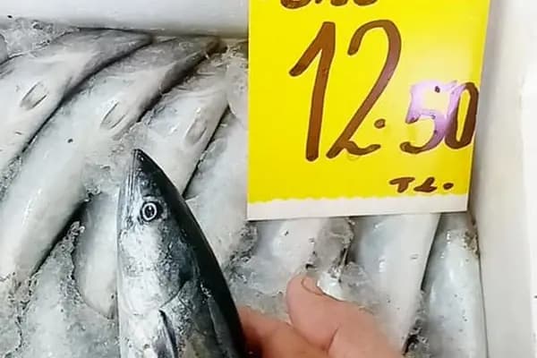 Çerkezköy Balıkçılık - Balık Restoranı - Tekirdağ Çorlu