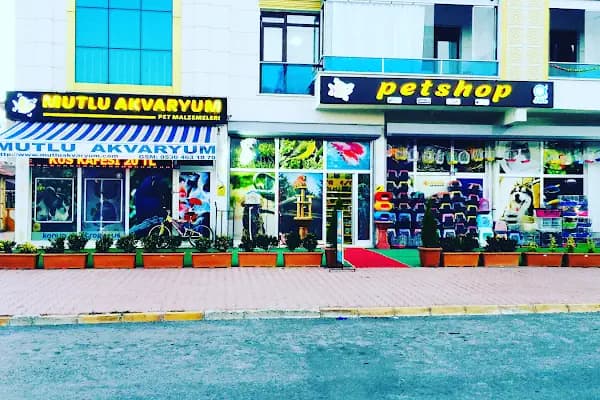 MUTLU AKVARYUM - Akvaryum Mağazası - Konya Selçuklu