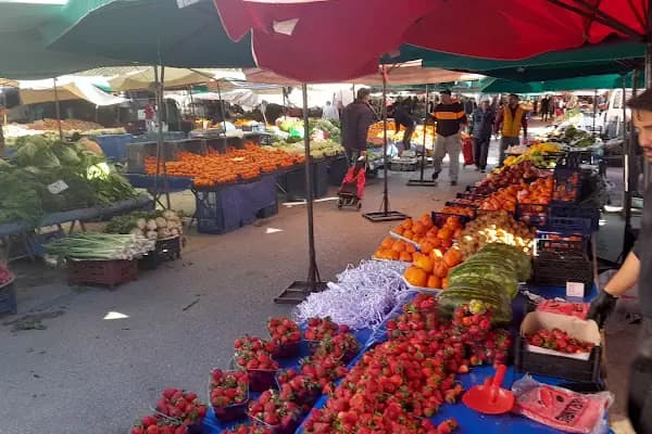 Şifa Turşu &amp; Organik Ürünler - Organik Gıda Marketi - Antalya Alanya