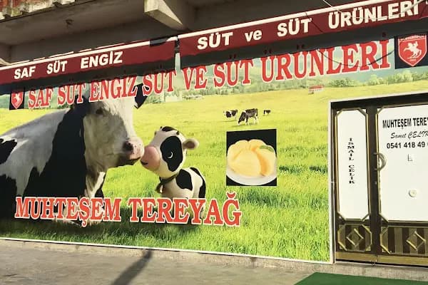 SAF SÜT ENGİZ MUHTEŞEM TEREYAĞ - Alışveriş merkezi - Samsun 19 Mayıs