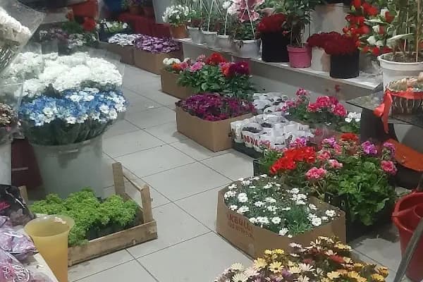 Buhara Çiçekçilik - Çiçekçi - Ankara Pursaklar