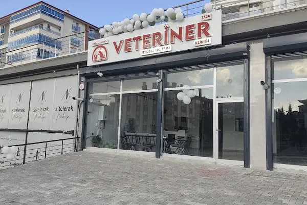 Özel Altındağ Veteriner Kliniği - Veteriner - Ankara Altındağ
