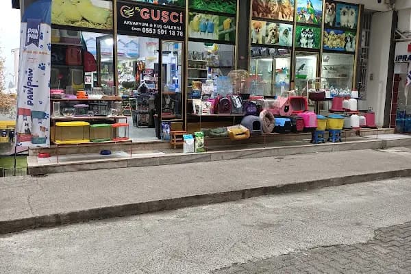 By Guşci Petshop Petmarket - Evcil Hayvan Malzemeleri Mağazası - Trabzon Akçaabat