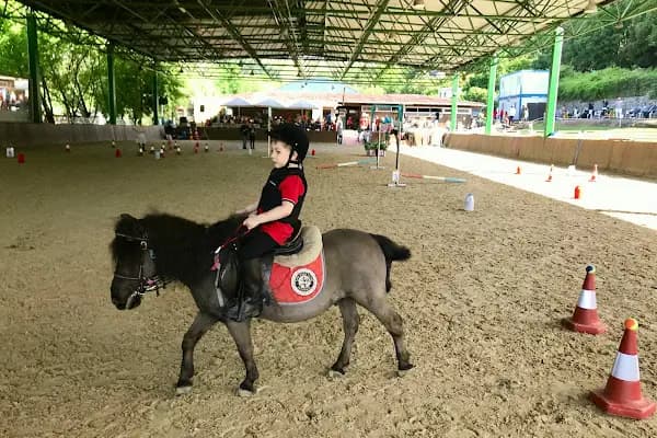 TULYA KURTULAN ATLI SPOR KULÜBÜ - Binicilik Okulu - İstanbul Sarıyer