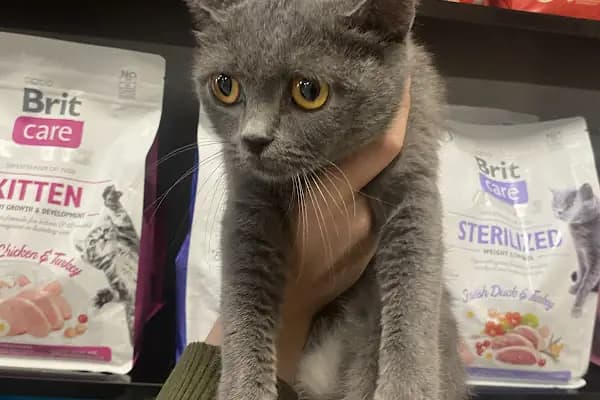 🐶🐱DİYARBAKIR ÖZEL VETERİNER KLİNİĞİ🐶🐱 - Hayvan Kurtarma Hizmeti - Diyarbakır Yenişehir