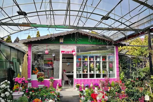 Jasmine's Garden - Çiçekçi - Kocaeli Derince