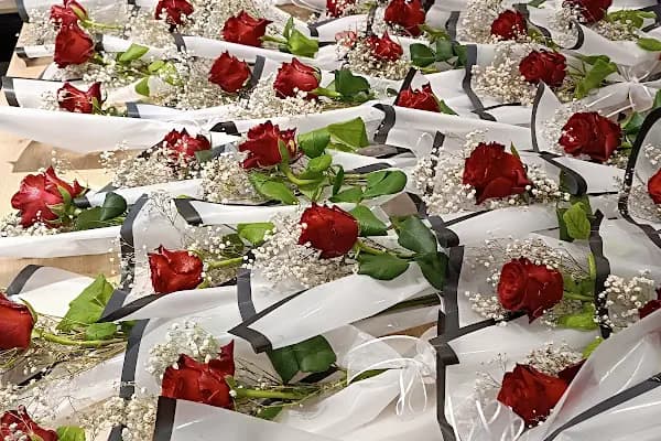 GÜLCE FLOWERS çiçekçi serdivan - Çiçekçi - Sakarya Serdivan