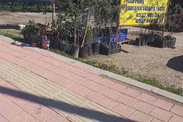 Duygu Halı Temizleme - Halı Temizleme Hizmeti - Antalya Akseki