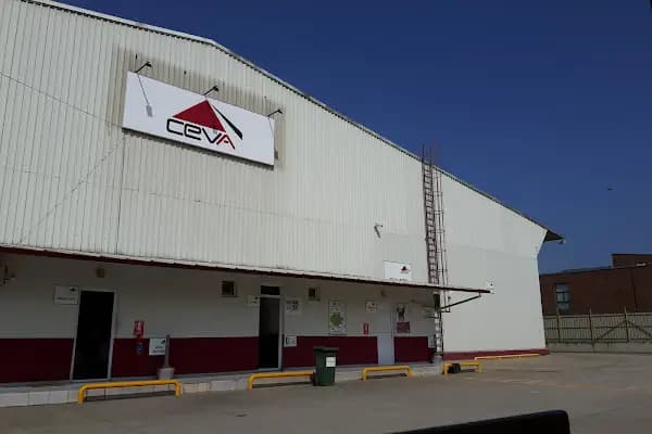 Ford Ceva Logistics Lastik Depo - Depolama Tesisi - Kocaeli Derince