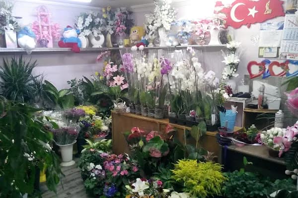 Eryaman Çiçekçilik - Çiçekçi - Ankara Akyurt