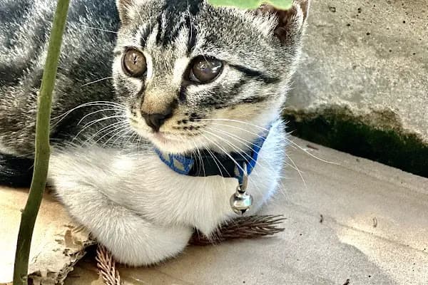 Derya Budak Fotografcilik - Fotoğraf Laboratuvarı - Muğla Menteşe