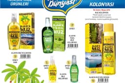 MUZ DÜNYASI
