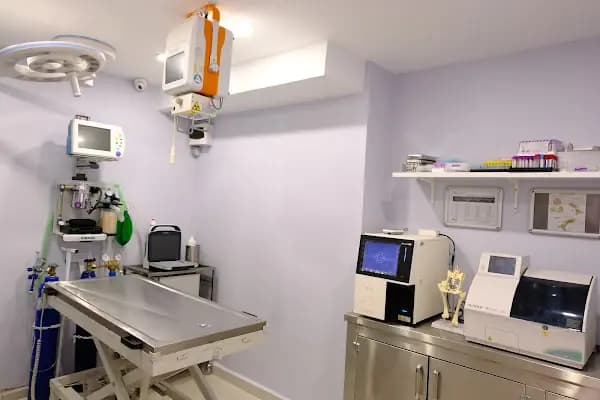 Yeşilköy Petiatri Pet ve Kuş Veteriner Kliniği - Veteriner - İstanbul Bakırköy