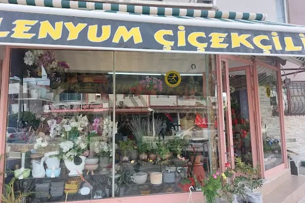 Milenyum Çiçekçilik - Çiçekçi - Balıkesir Edremit