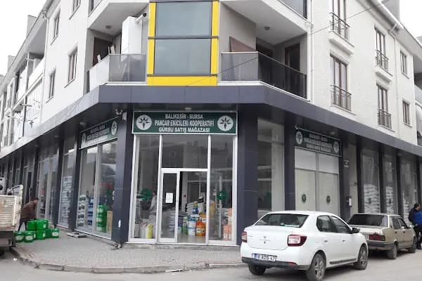 BALIKESİR-BURSA PANCAR EKİCİLERİ KOOPERATİFİ GÜRSU SATIŞ MAĞAZASI - Kurumsal Ofis - Bursa Mudanya