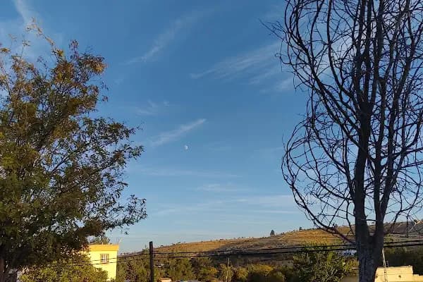 Balıklı Parkı - Park - Gaziantep Şahinbey