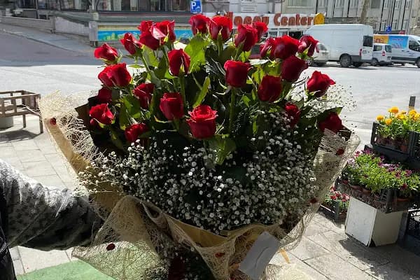 Hayat Çiçek - Çiçek Kimden Avcılar'ın en hızlı çiçekçisi. - Çiçekçi - İstanbul Zeytinburnu