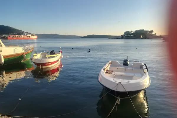 Bodrum Health Service ( Life Health Cabin ) - Sağlık Merkezi - Muğla Bodrum