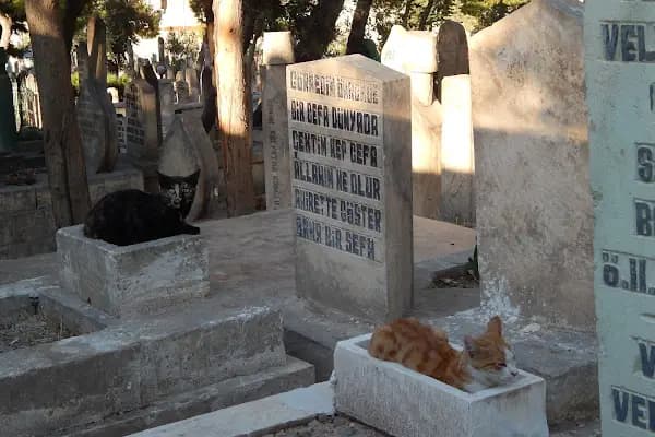 Öncel Aile Mezarlığı - Mezarlık - Şanlıurfa Ceylanpınar