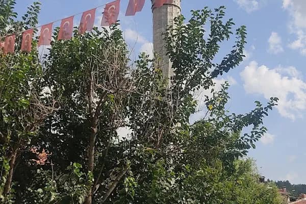 Tekke Cami - Cami - Ankara Ayaş