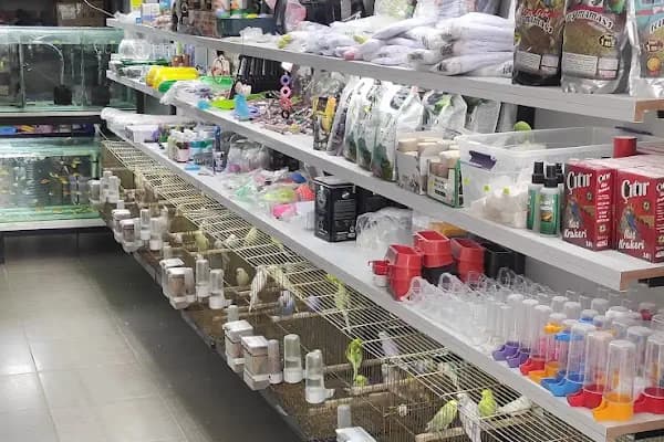 15 TEMMUZ PETSHOP ceylanpinar - Evcil hayvan mağazası - Şanlıurfa Eyyübiye