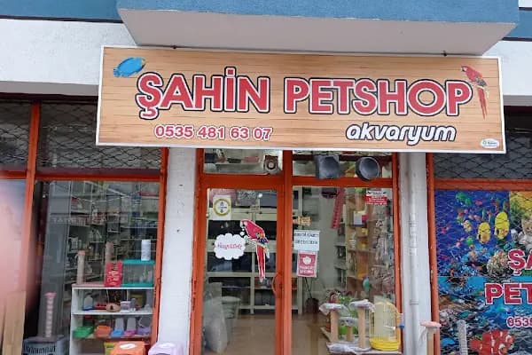 şahin petshop - Evcil hayvan mağazası - Ankara Sincan