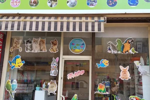 ibrahimli petshop - Evcil Hayvan Malzemeleri Mağazası - Gaziantep Nizip