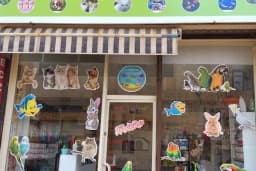 ibrahimli petshop