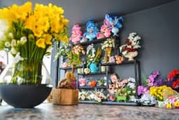 House Of Flowers