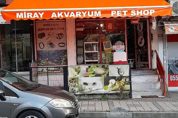MİRAY PETSHOP AKVARYUM - Evcil Hayvan Malzemeleri Mağazası - İstanbul Bağcılar