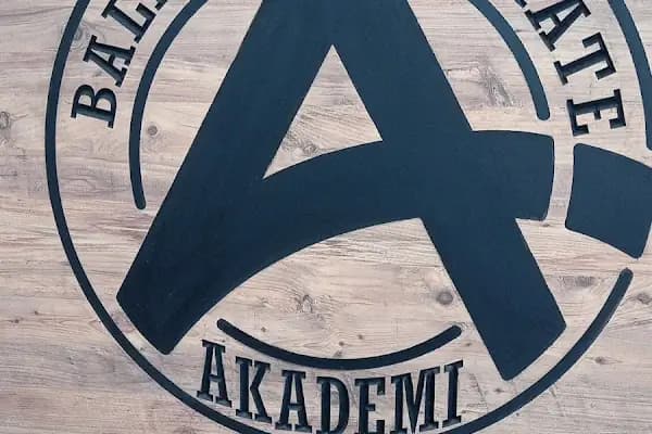 BALIKESİR KARATE AKADEMİ - Karate Okulu - Balıkesir Karesi