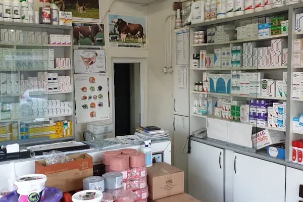 Veteriner Kliniği - Veteriner - Diyarbakır Yenişehir