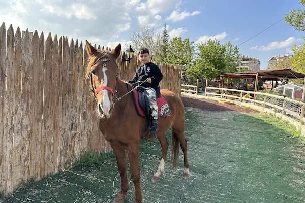 Nalçacı Binicilik & At Eğitim Merkezi - Binicilik Kulübü - Konya Meram