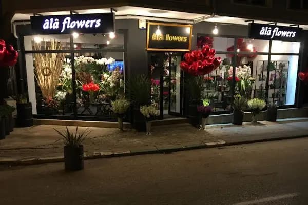 Ala flowers çiçekçilik - Çiçekçi - Bursa Orhangazi