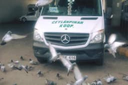 Ceylanpınar