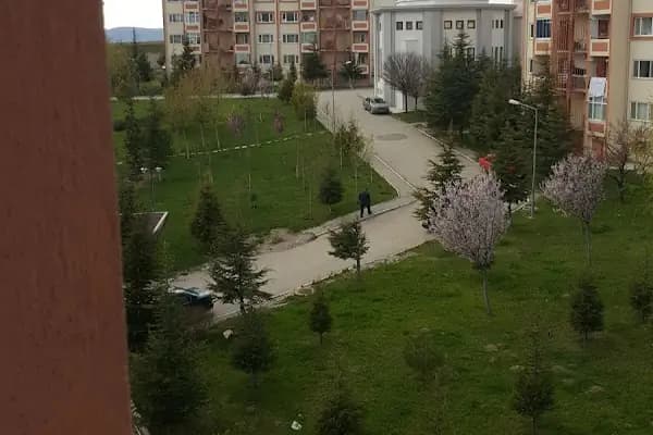 Çocuk Parkı - Park - Ankara Akyurt